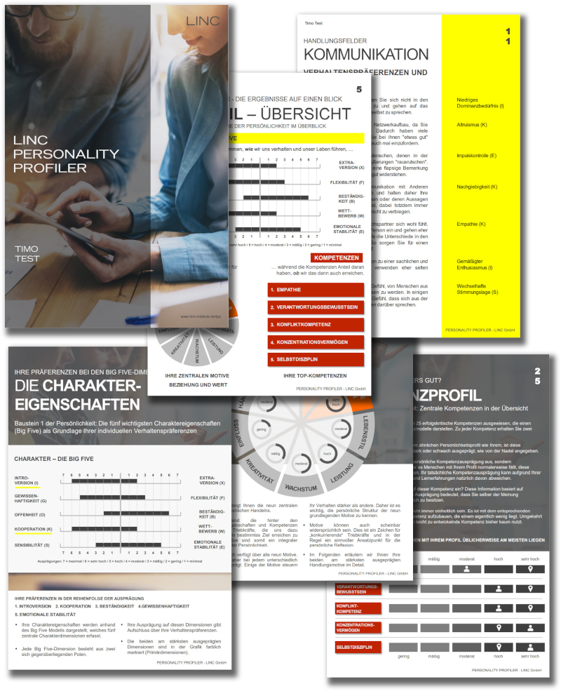 Linc Personality Profiler - Übersicht